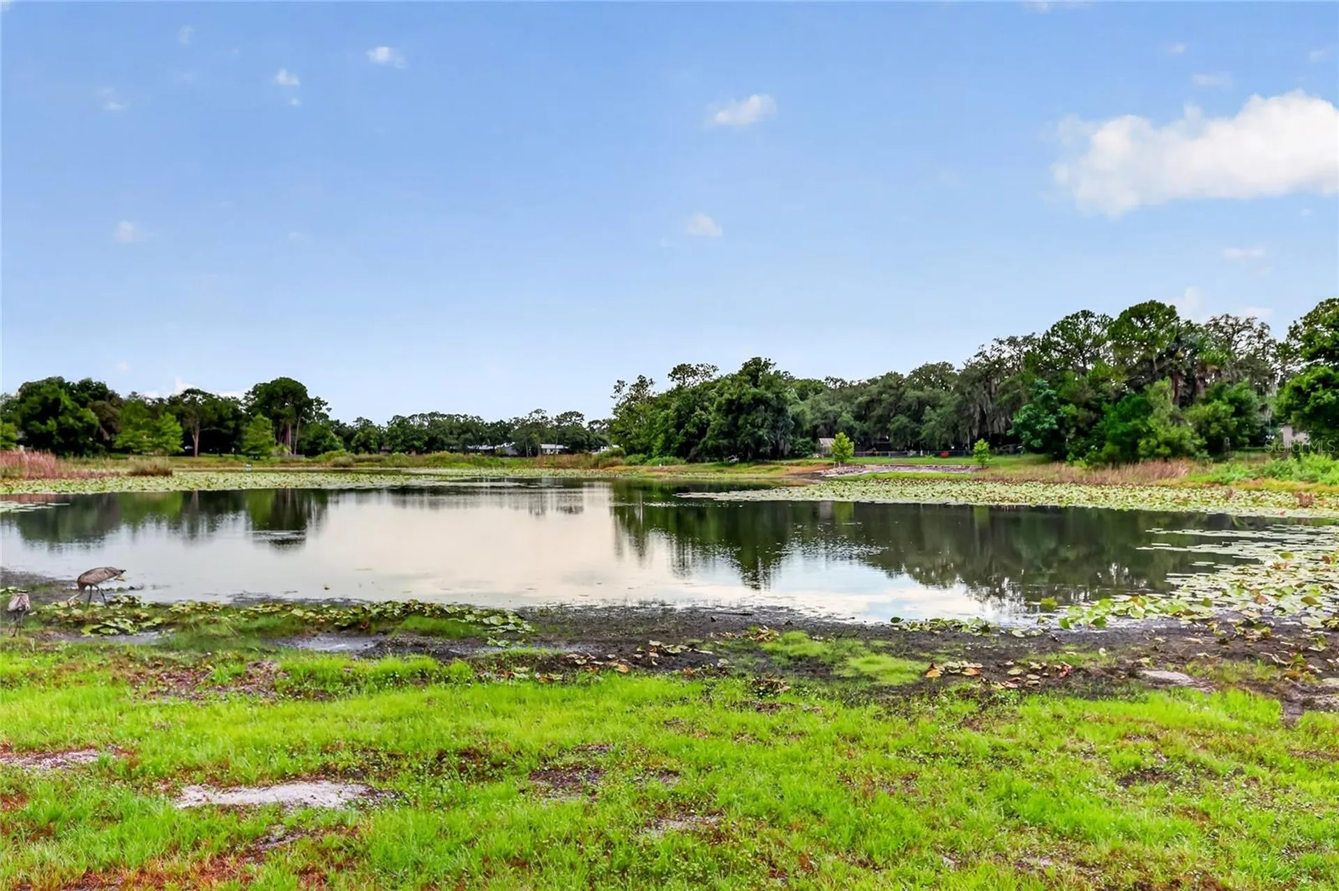 37414 Turner Drive Umatilla FL 32784