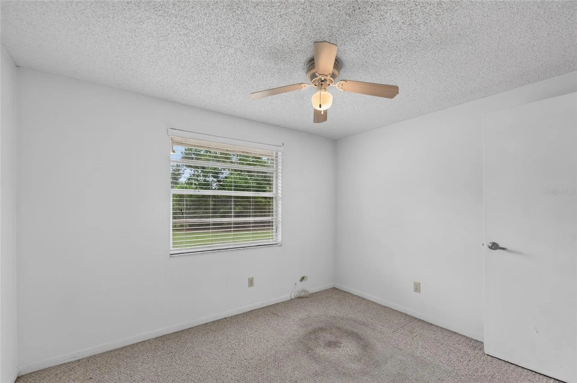 3414 King George Lane Seffner FL 33584