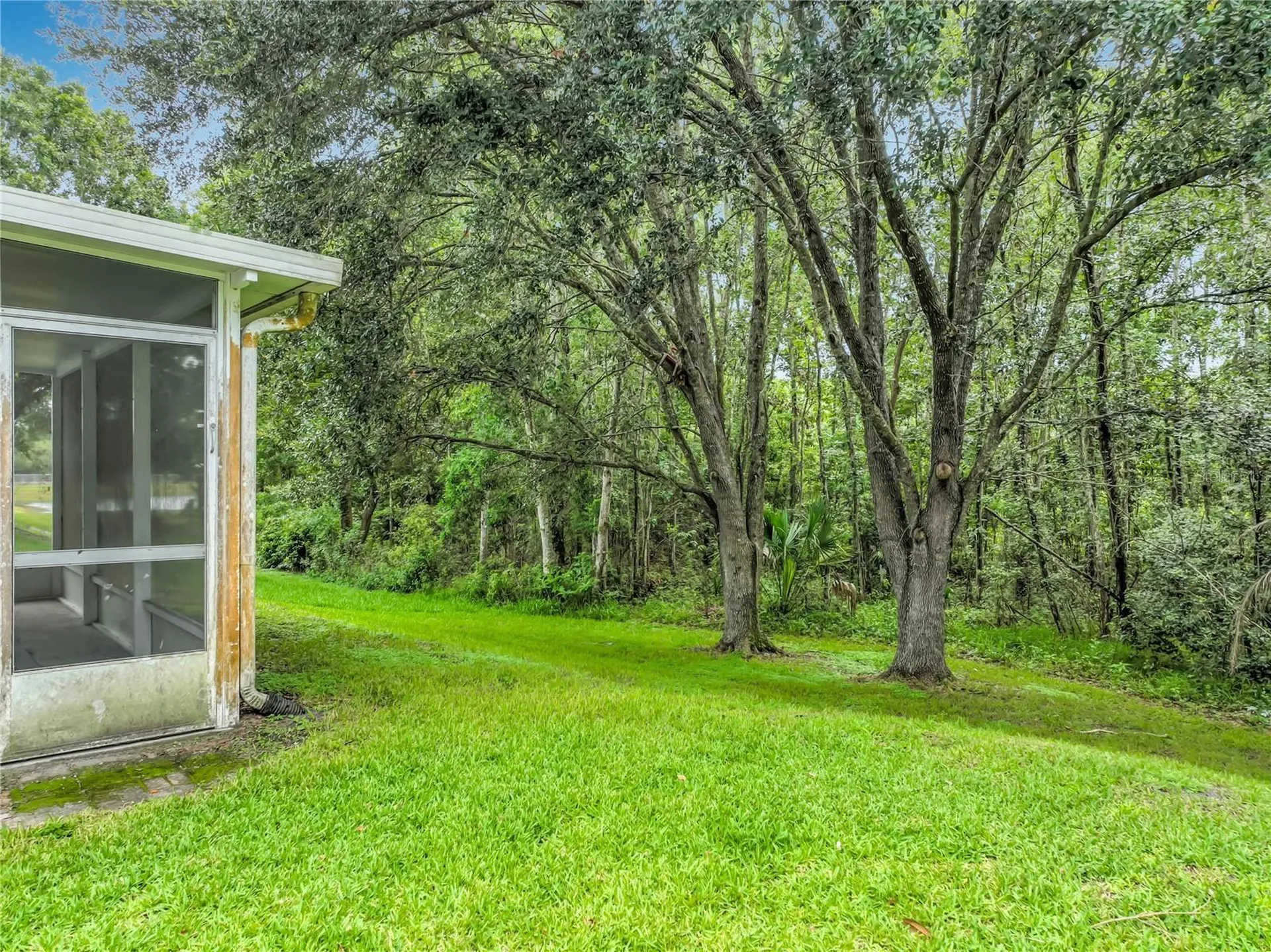 11148 Pinewood Cove Lane Orlando FL 32817