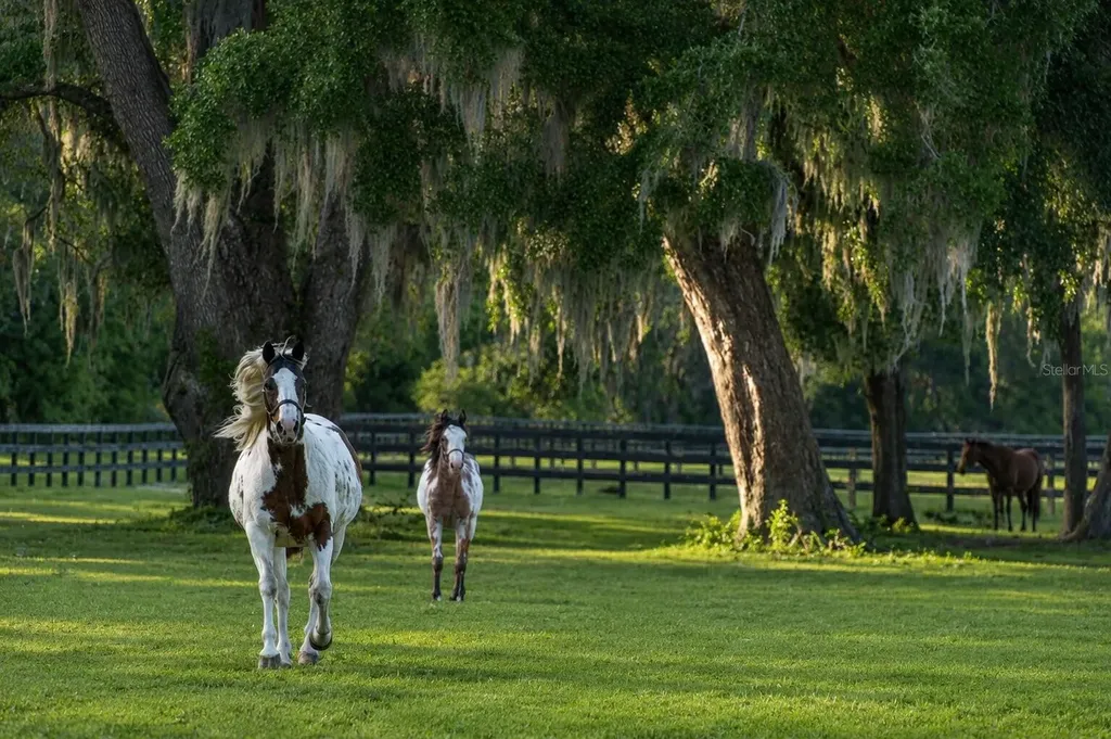 Tbd (Lot 14-w) SW 138th Loop Dunnellon FL 34432