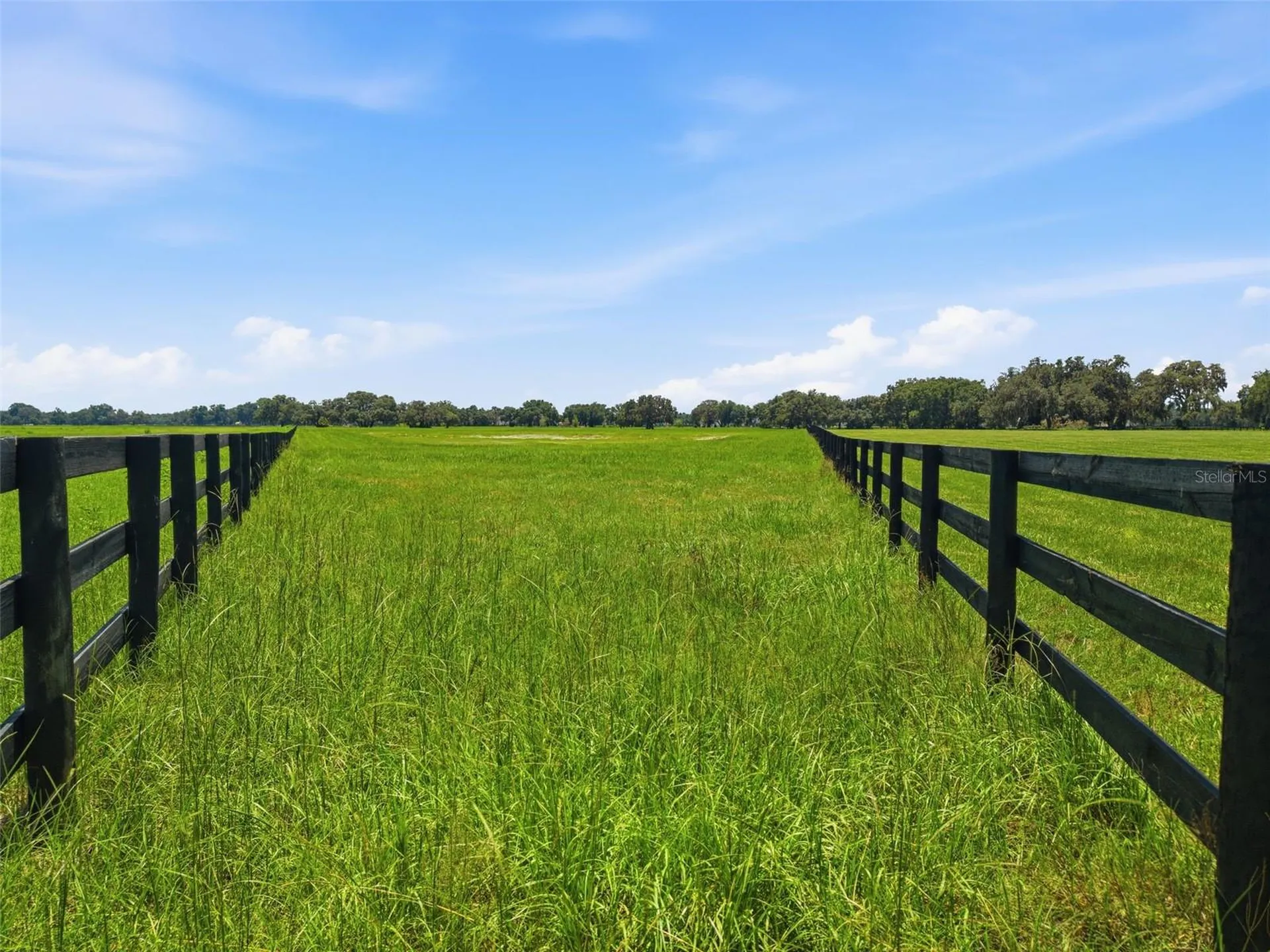 Tbd (Lot 14-w) SW 138th Loop Dunnellon FL 34432