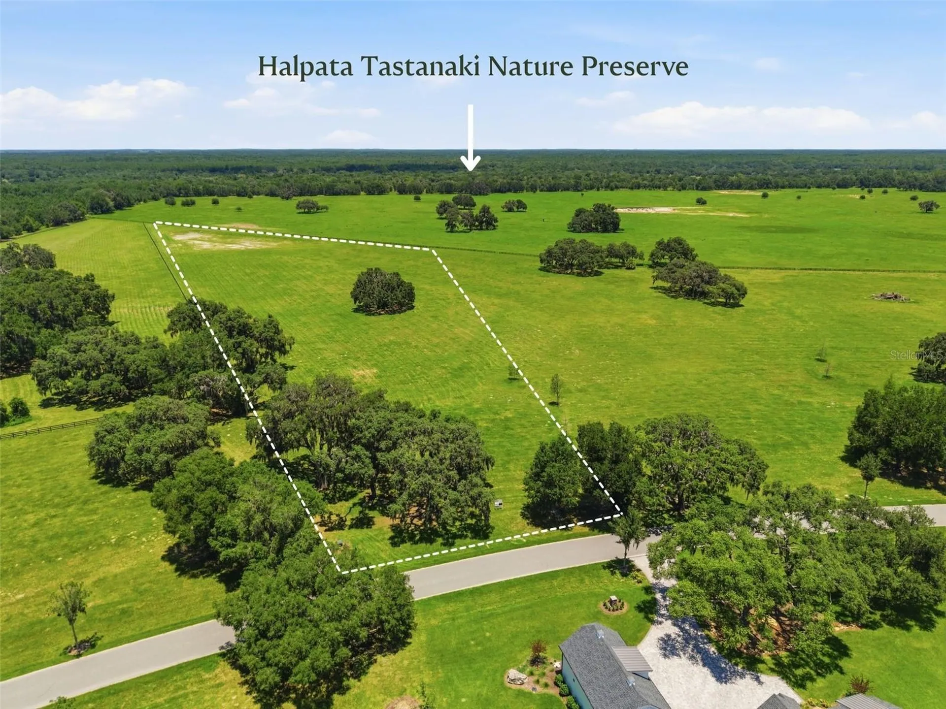 Tbd (Lot 14-w) SW 138th Loop Dunnellon FL 34432