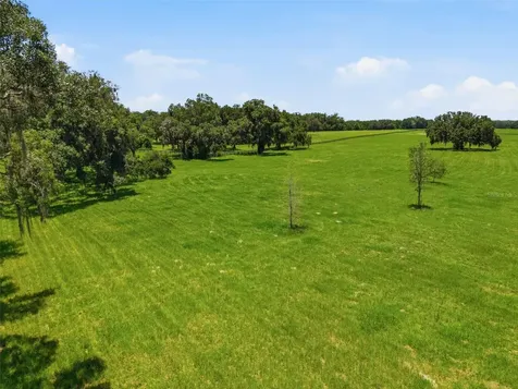 Tbd (Lot 14-w) SW 138th Loop Dunnellon FL 34432