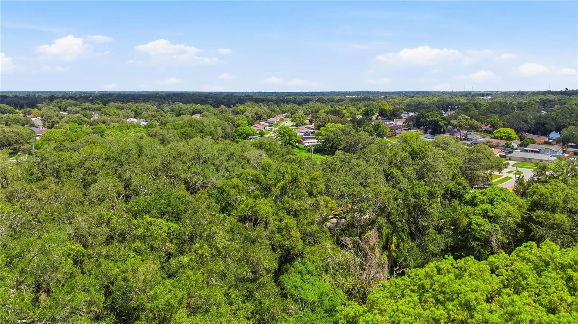11211 Clay Pit Road Seffner FL 33584