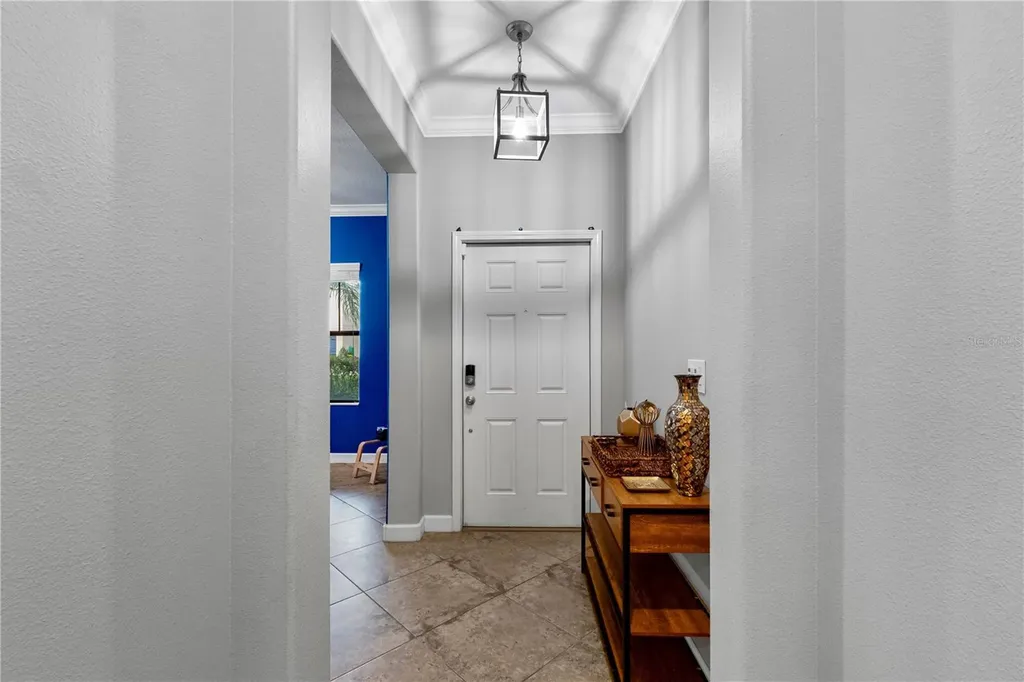 19343 Paddock View Drive Tampa FL 33647
