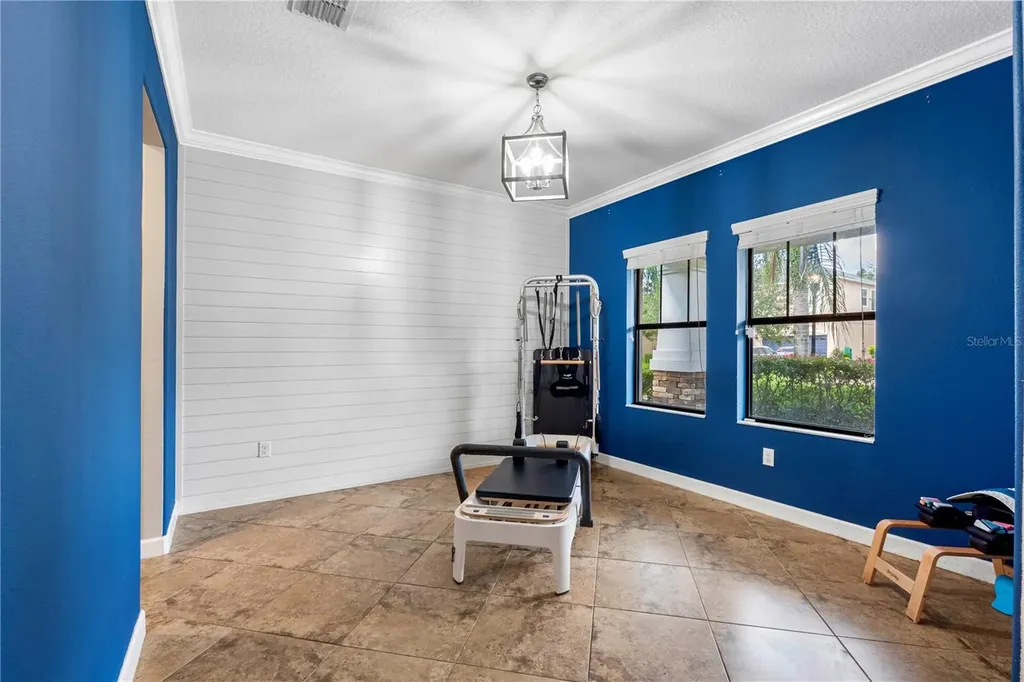 19343 Paddock View Drive Tampa FL 33647