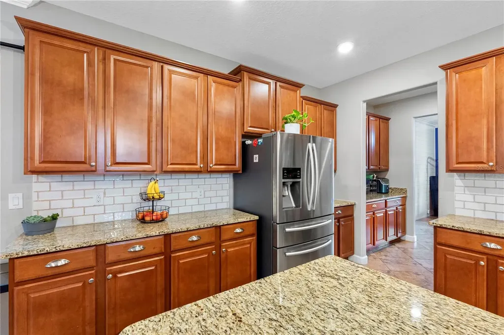 19343 Paddock View Drive Tampa FL 33647