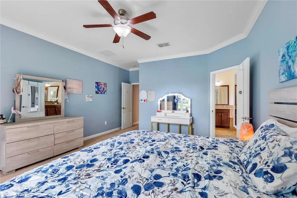 19343 Paddock View Drive Tampa FL 33647