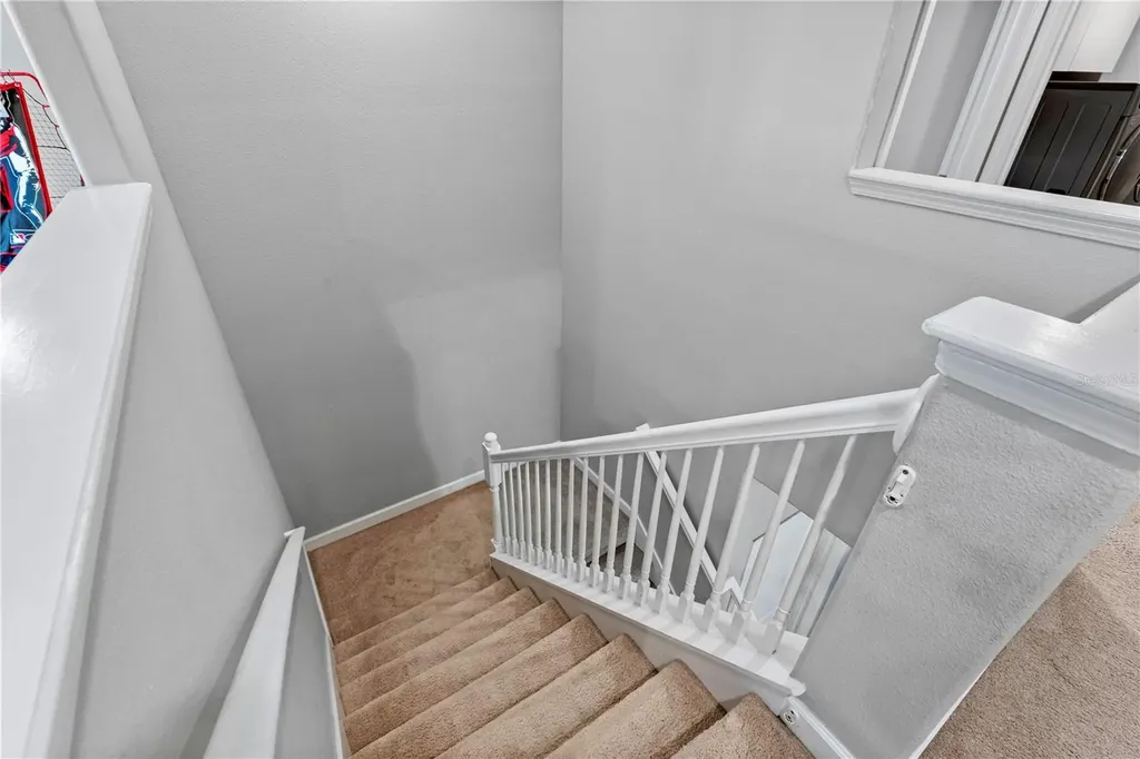 19343 Paddock View Drive Tampa FL 33647