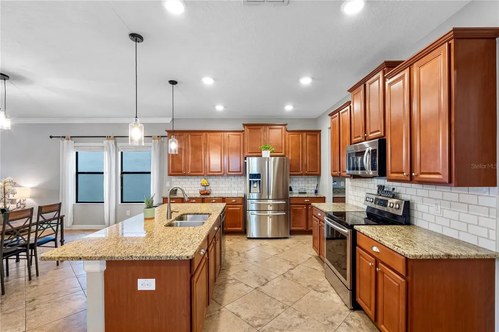 19343 Paddock View Drive Tampa FL 33647