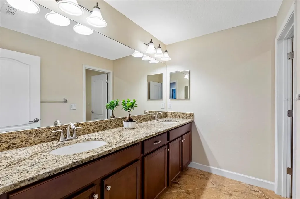19343 Paddock View Drive Tampa FL 33647