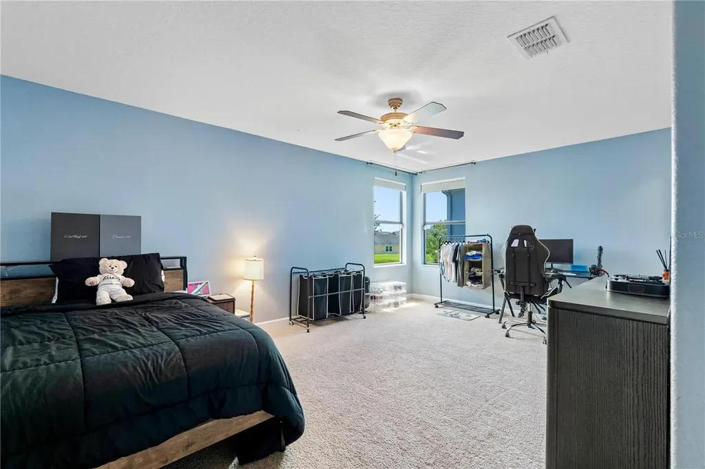 19343 Paddock View Drive Tampa FL 33647