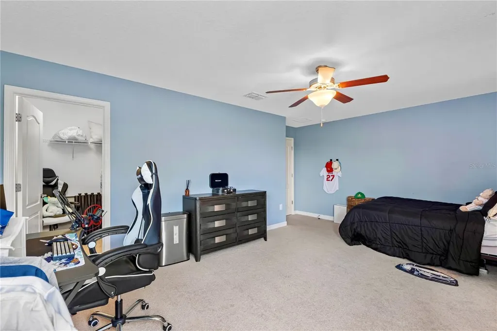 19343 Paddock View Drive Tampa FL 33647