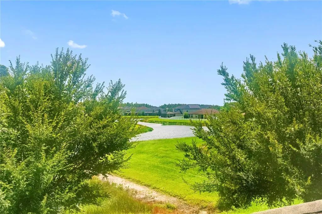 19343 Paddock View Drive Tampa FL 33647