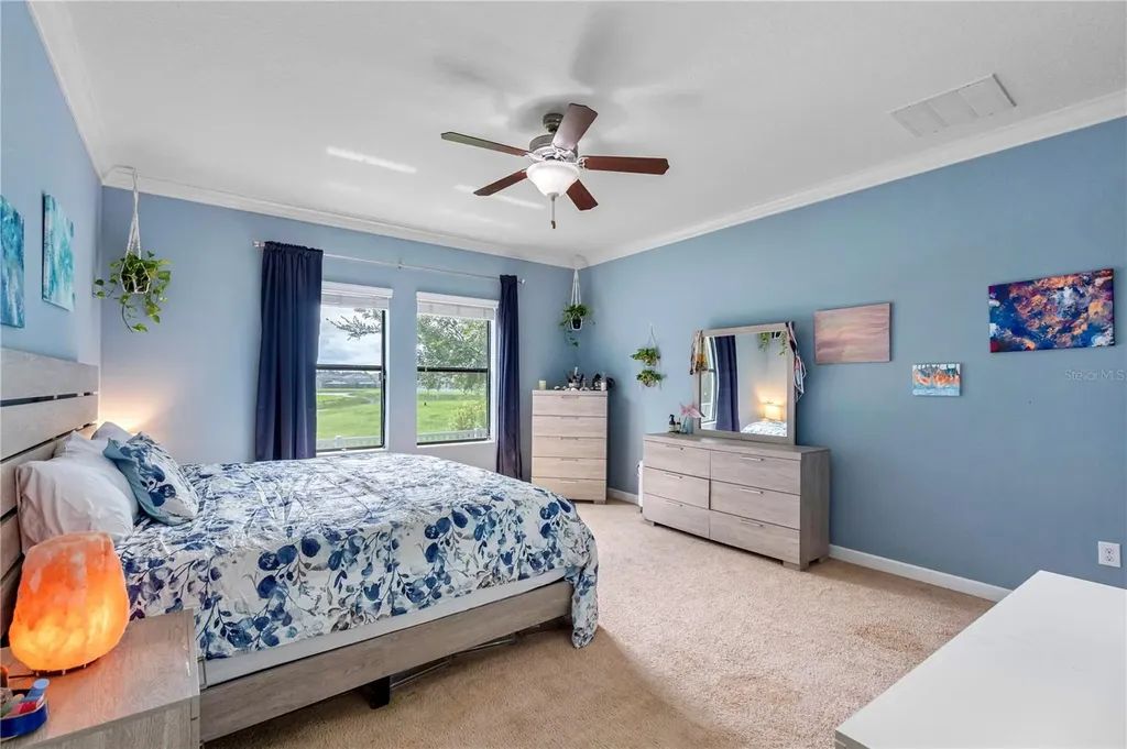19343 Paddock View Drive Tampa FL 33647