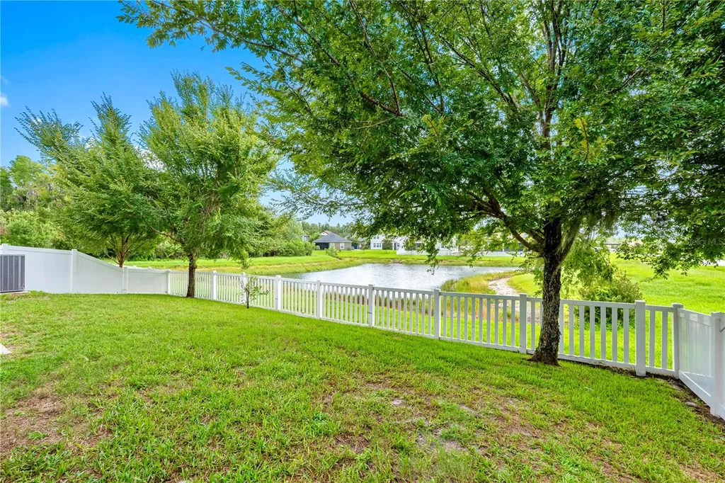 19343 Paddock View Drive Tampa FL 33647