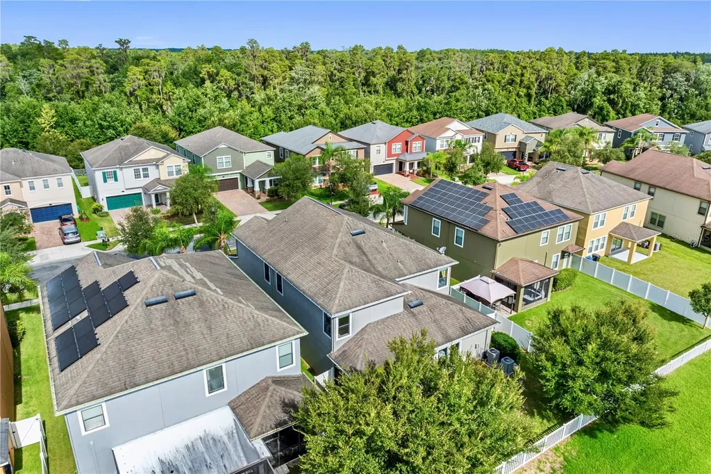 19343 Paddock View Drive Tampa FL 33647