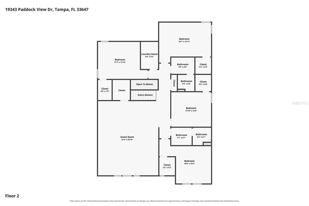 19343 Paddock View Drive Tampa FL 33647