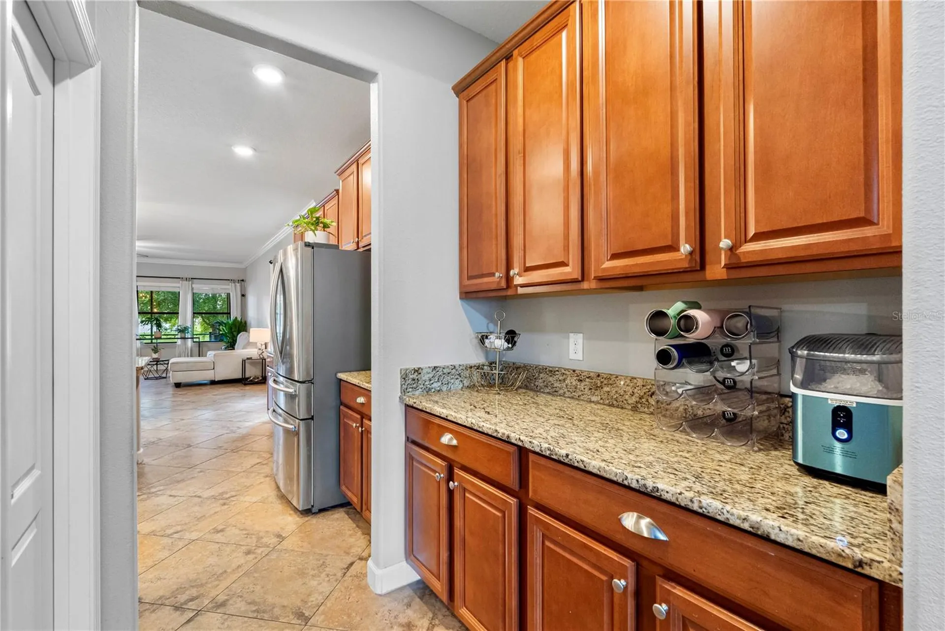 19343 Paddock View Drive Tampa FL 33647