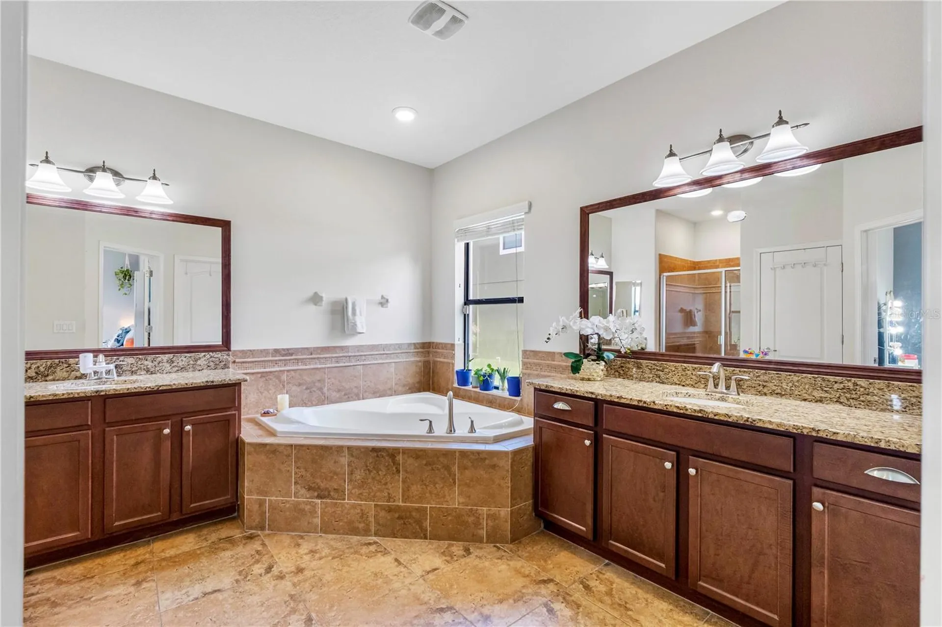 19343 Paddock View Drive Tampa FL 33647