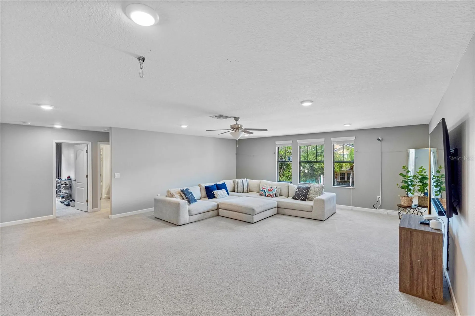 19343 Paddock View Drive Tampa FL 33647