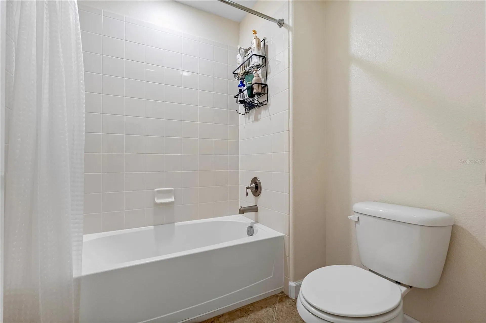 19343 Paddock View Drive Tampa FL 33647