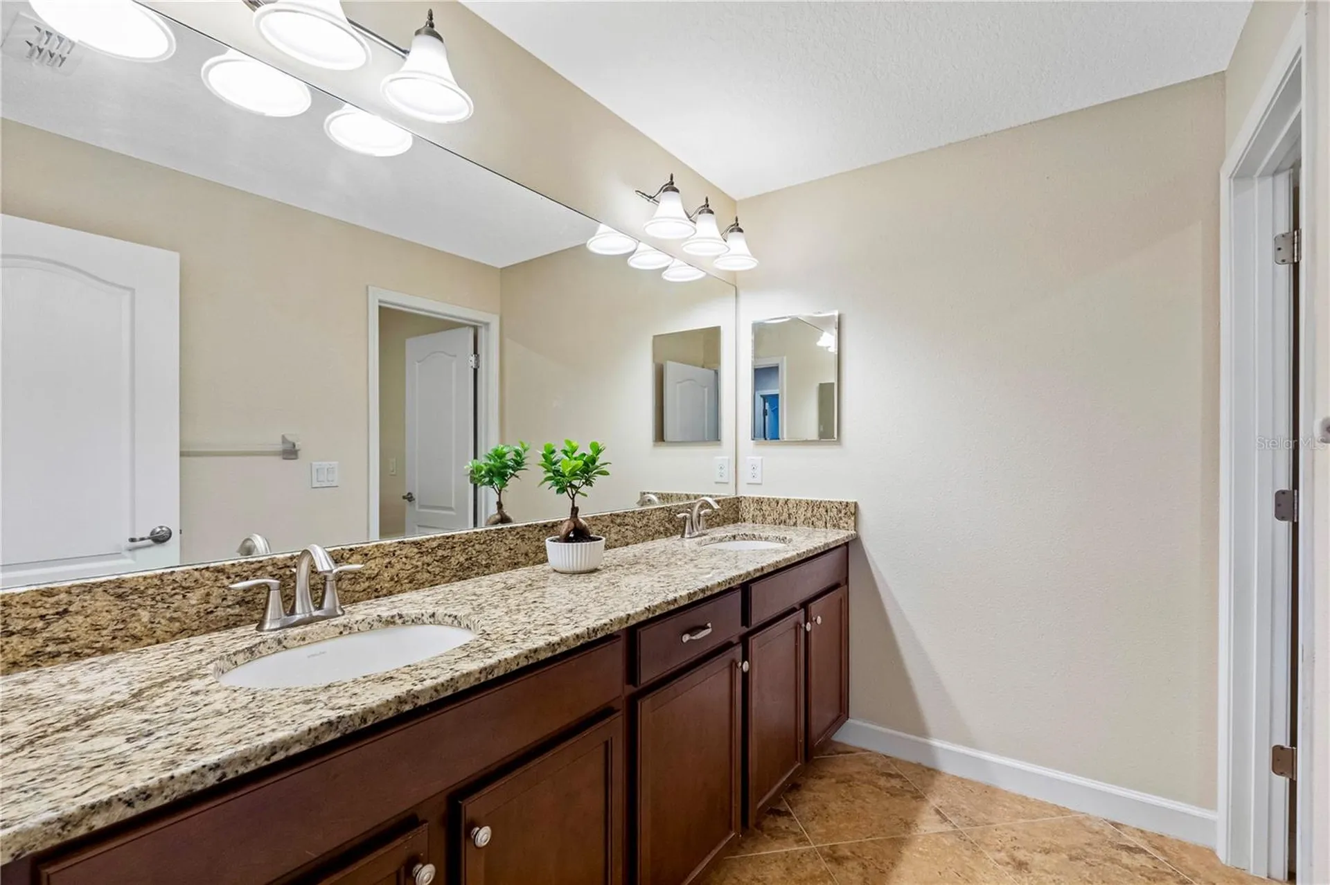 19343 Paddock View Drive Tampa FL 33647