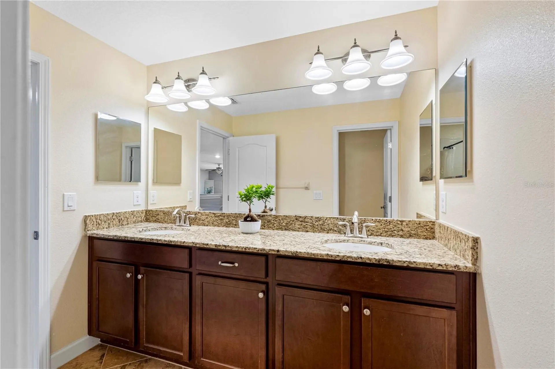 19343 Paddock View Drive Tampa FL 33647