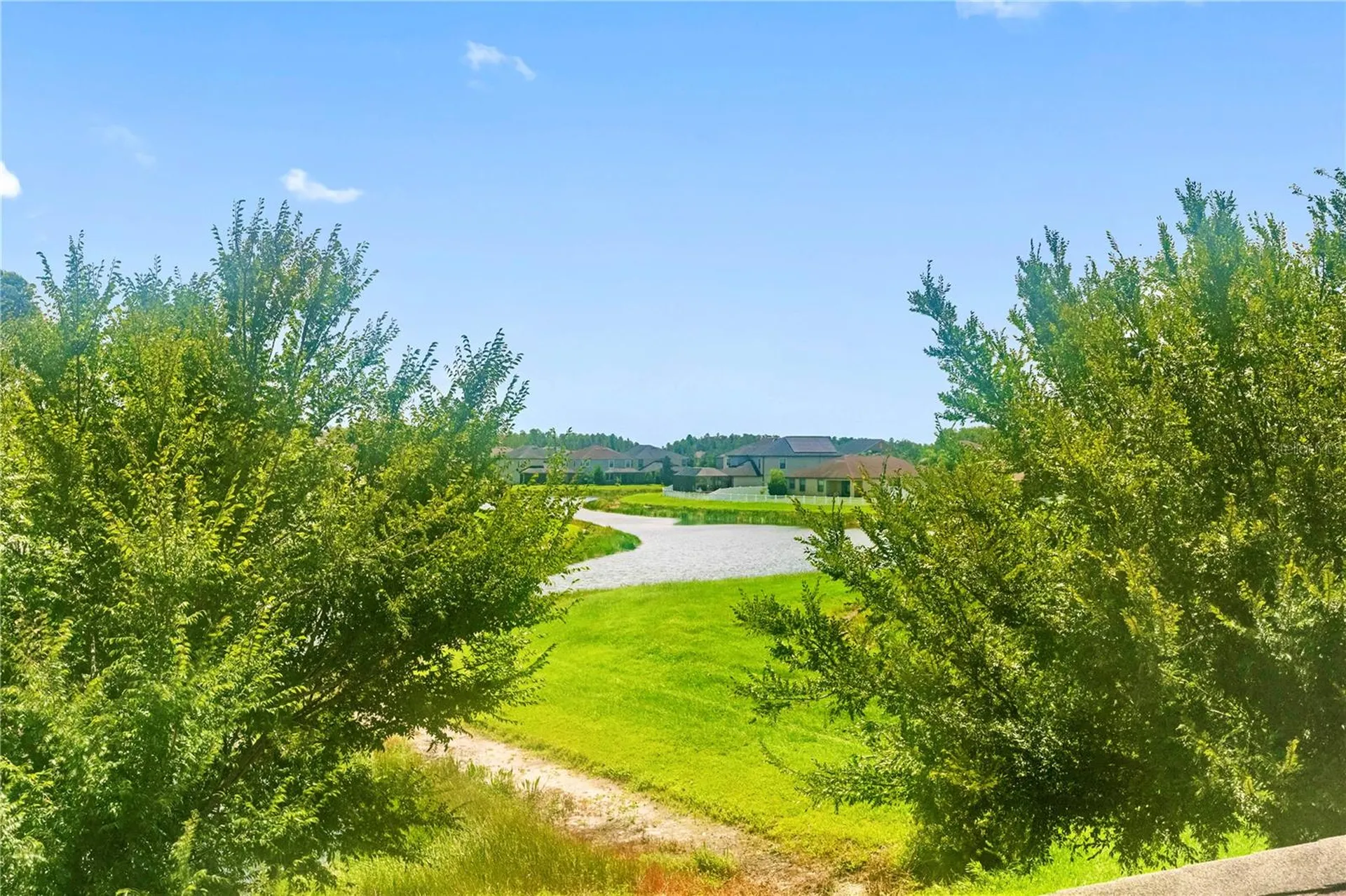 19343 Paddock View Drive Tampa FL 33647