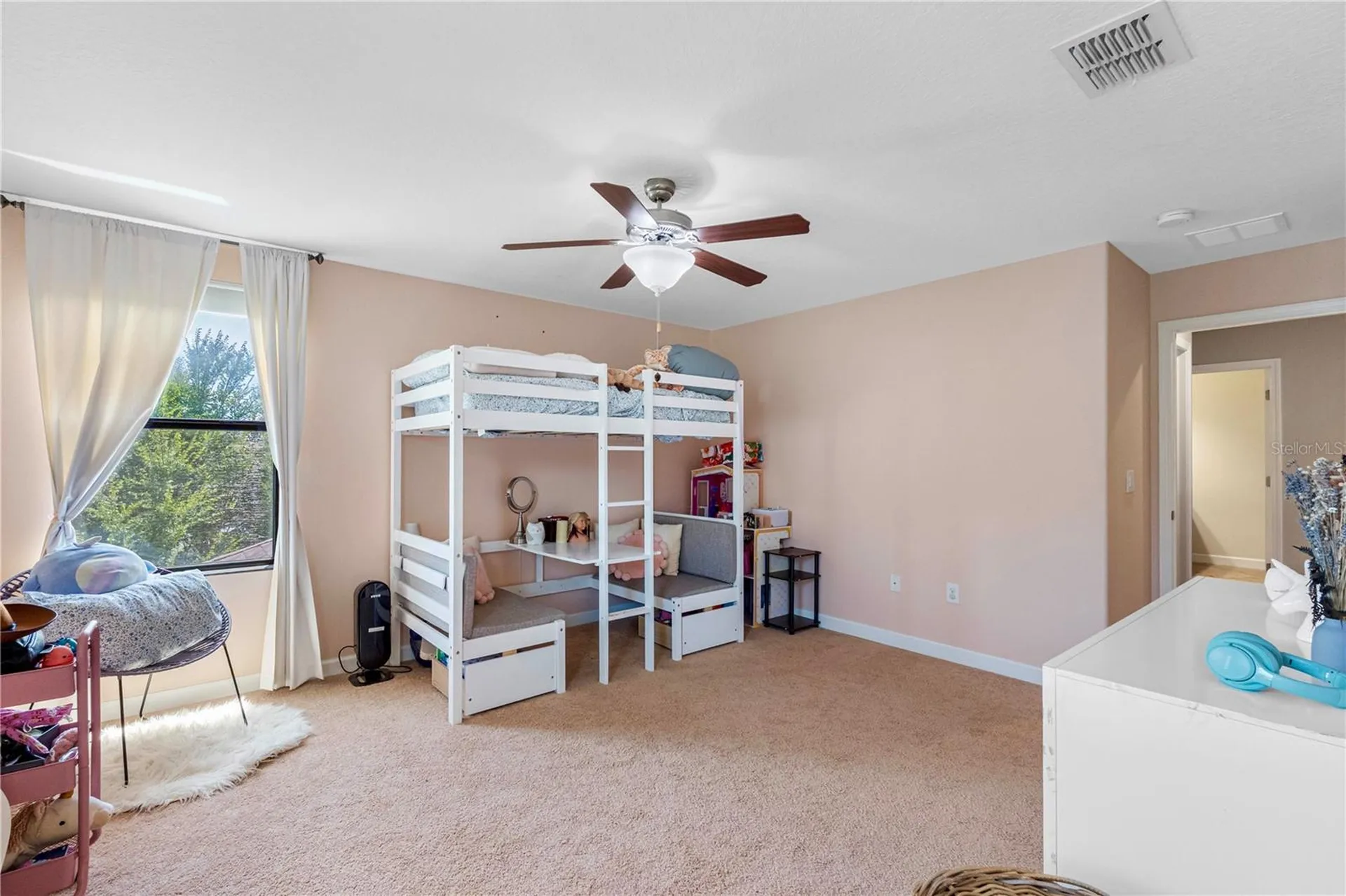 19343 Paddock View Drive Tampa FL 33647