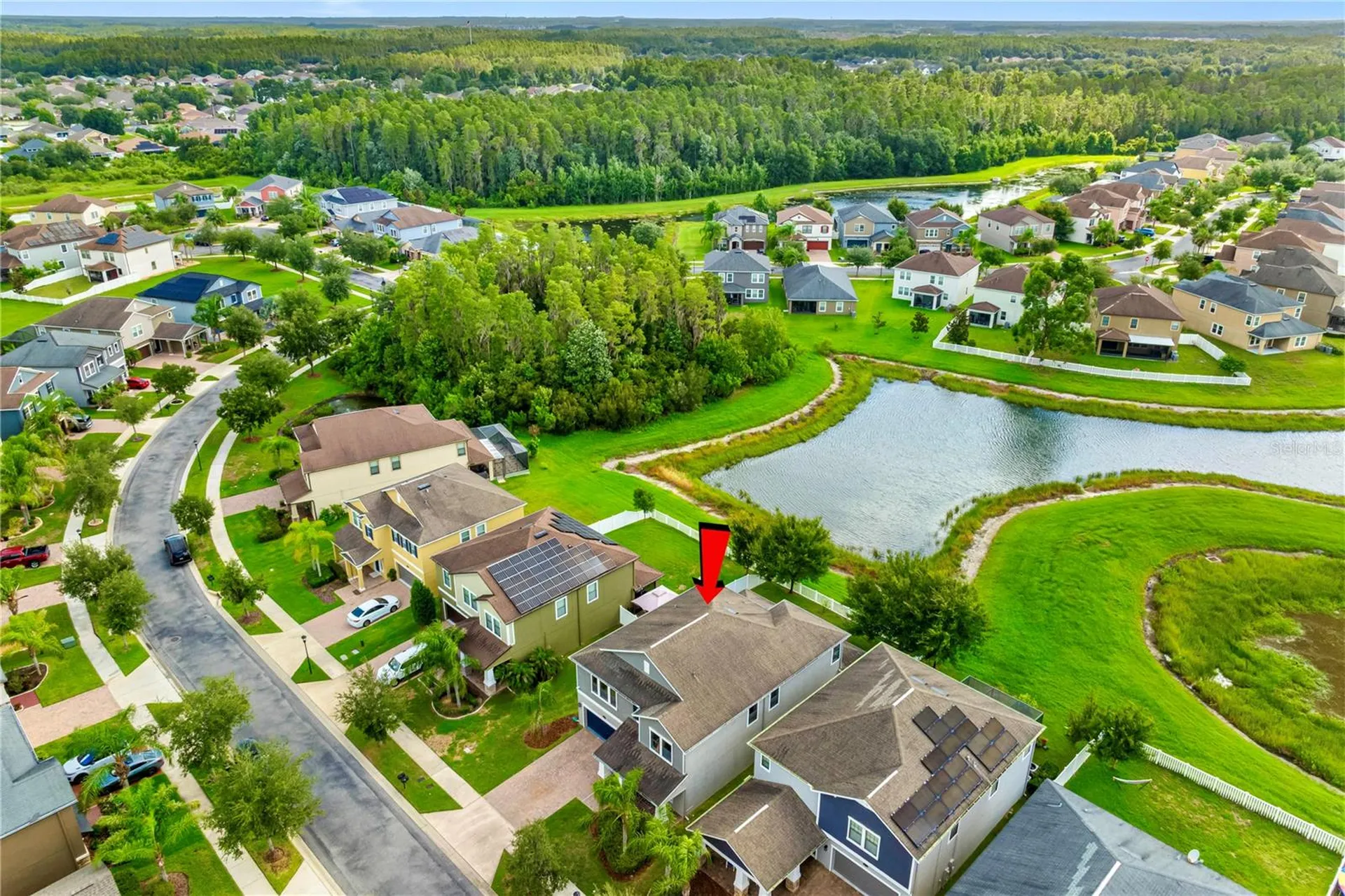 19343 Paddock View Drive Tampa FL 33647