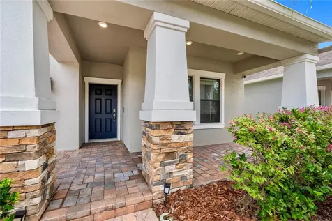 19343 Paddock View Drive Tampa FL 33647