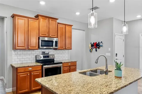 19343 Paddock View Drive Tampa FL 33647