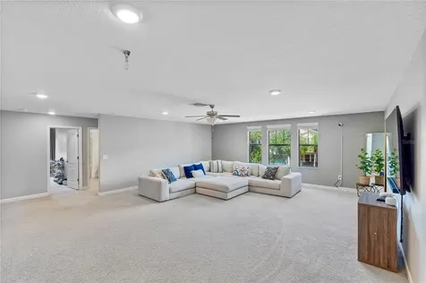 19343 Paddock View Drive Tampa FL 33647