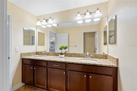 19343 Paddock View Drive Tampa FL 33647