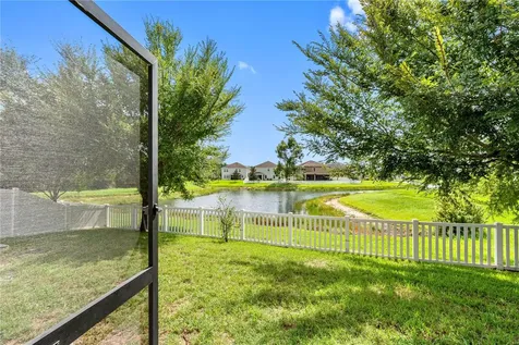 19343 Paddock View Drive Tampa FL 33647