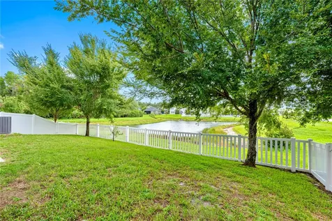 19343 Paddock View Drive Tampa FL 33647