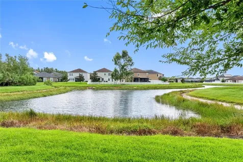 19343 Paddock View Drive Tampa FL 33647