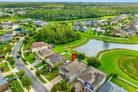 19343 Paddock View Drive Tampa FL 33647