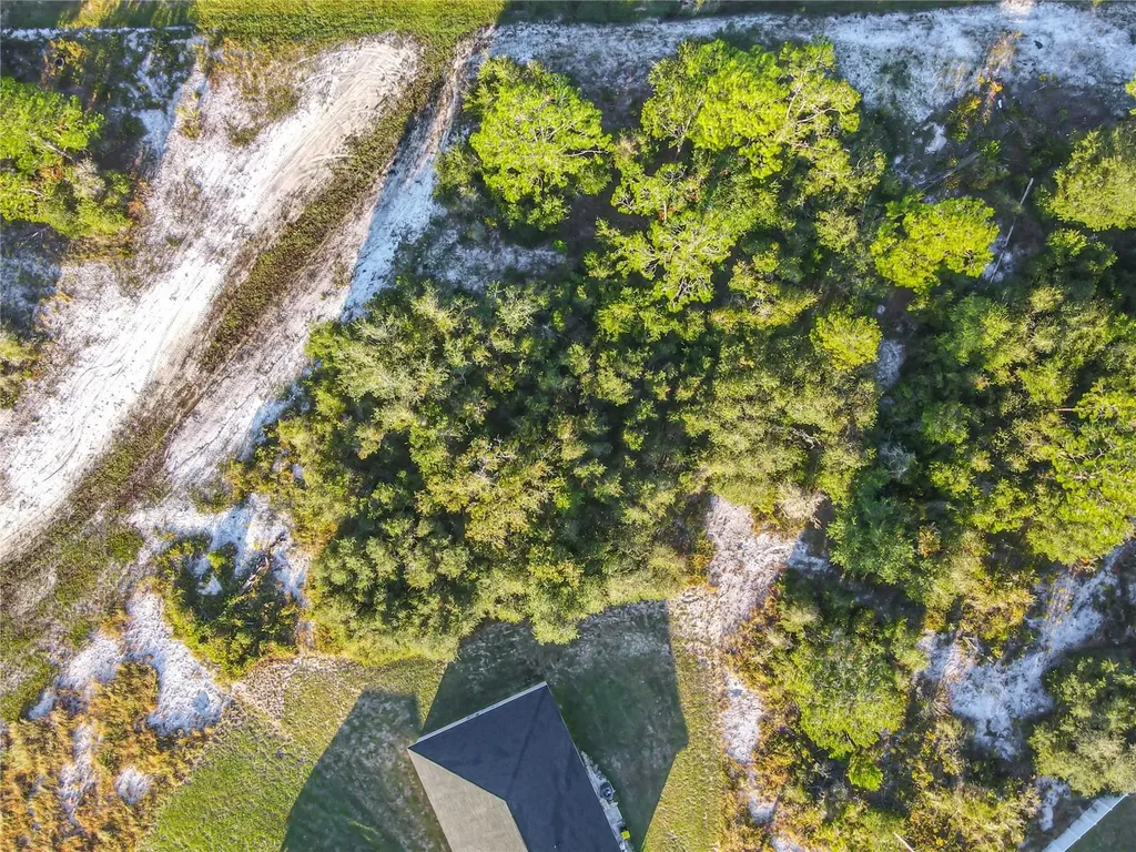 1257 Amazon Lane Poinciana FL 34759