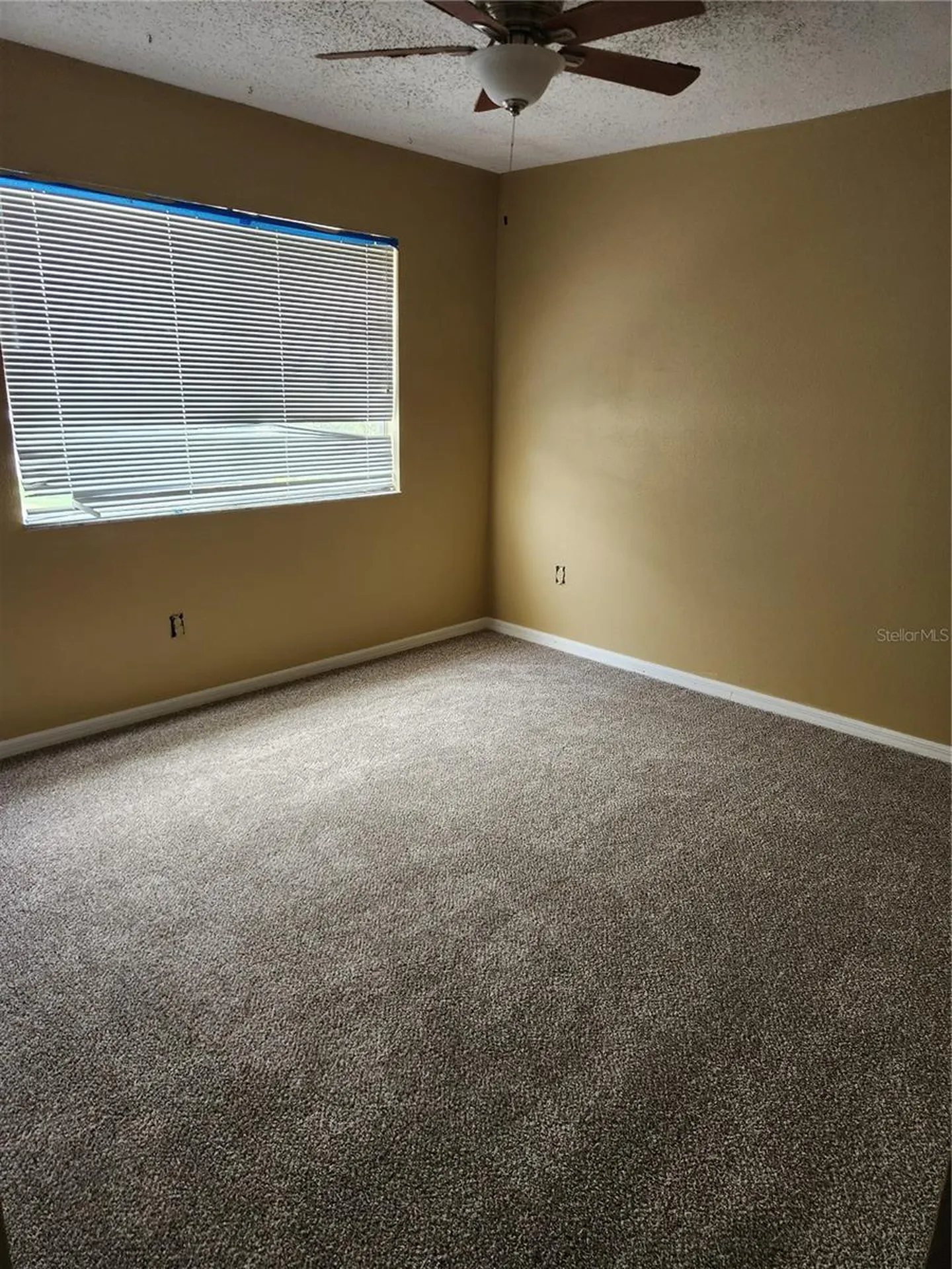 10815 Brickside Court Riverview FL 33579