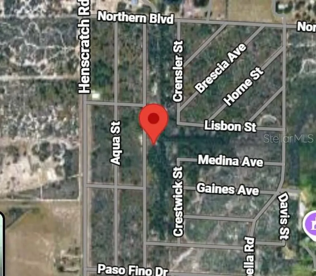 1231 Camilo Street Lake Placid FL 33852