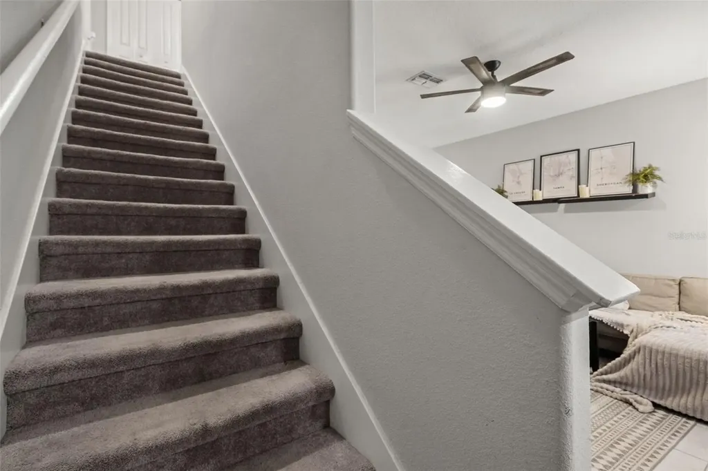7627 French Marigold Avenue Tampa FL 33619