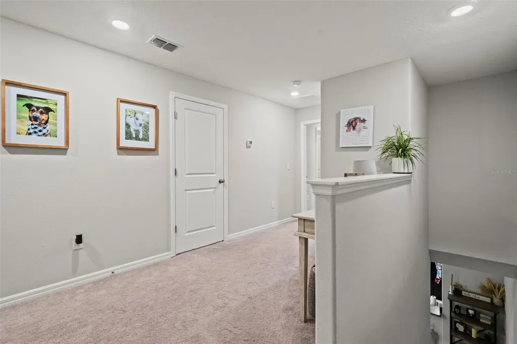 7627 French Marigold Avenue Tampa FL 33619