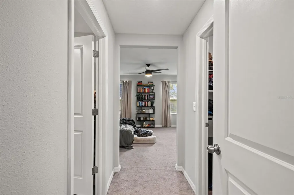 7627 French Marigold Avenue Tampa FL 33619