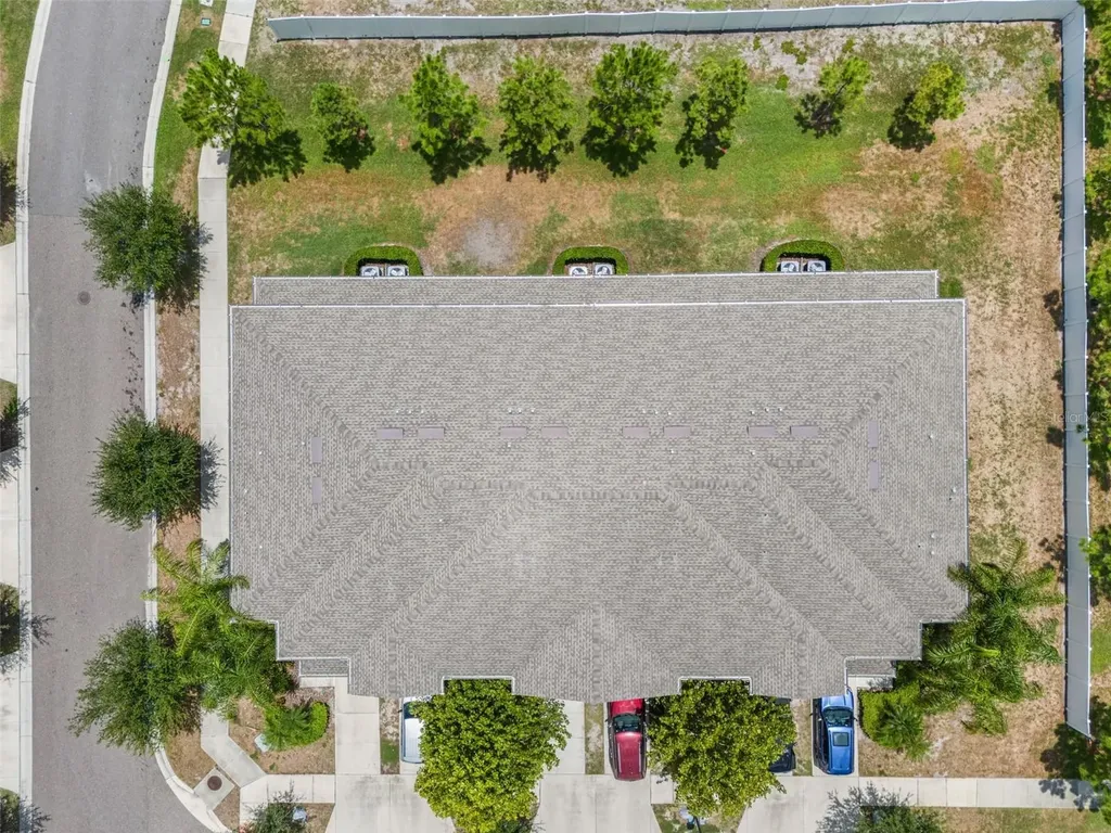 7627 French Marigold Avenue Tampa FL 33619