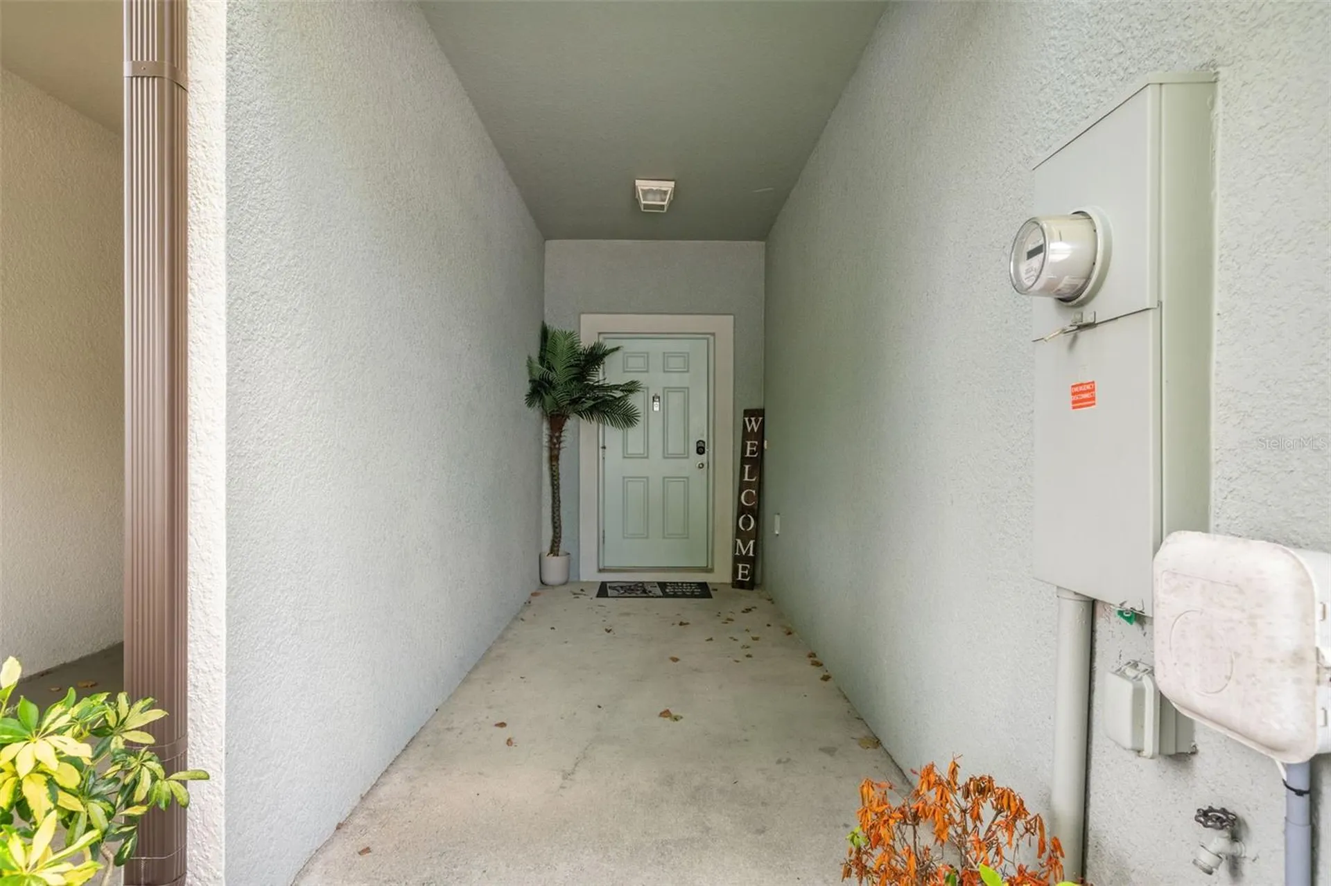 7627 French Marigold Avenue Tampa FL 33619