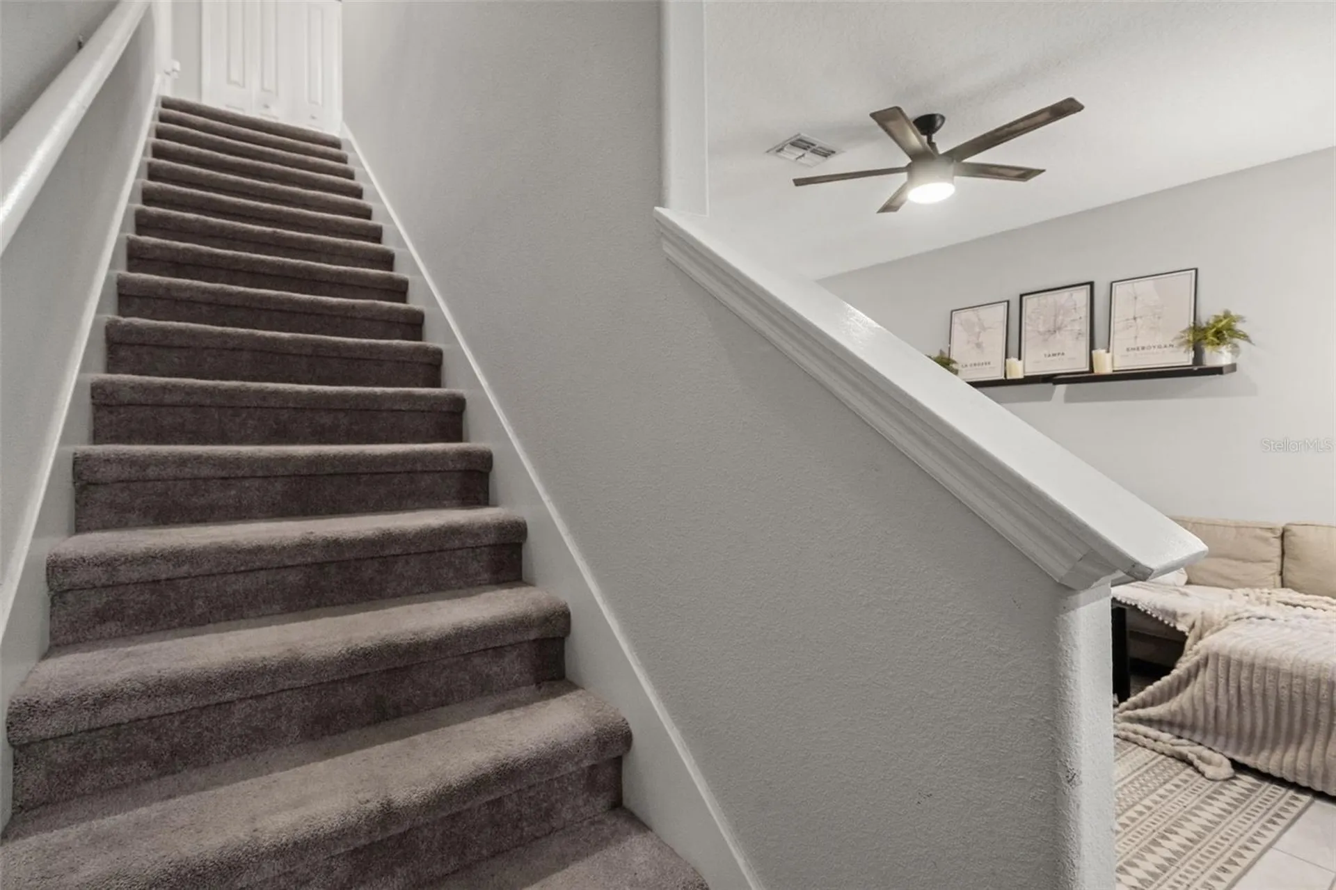 7627 French Marigold Avenue Tampa FL 33619
