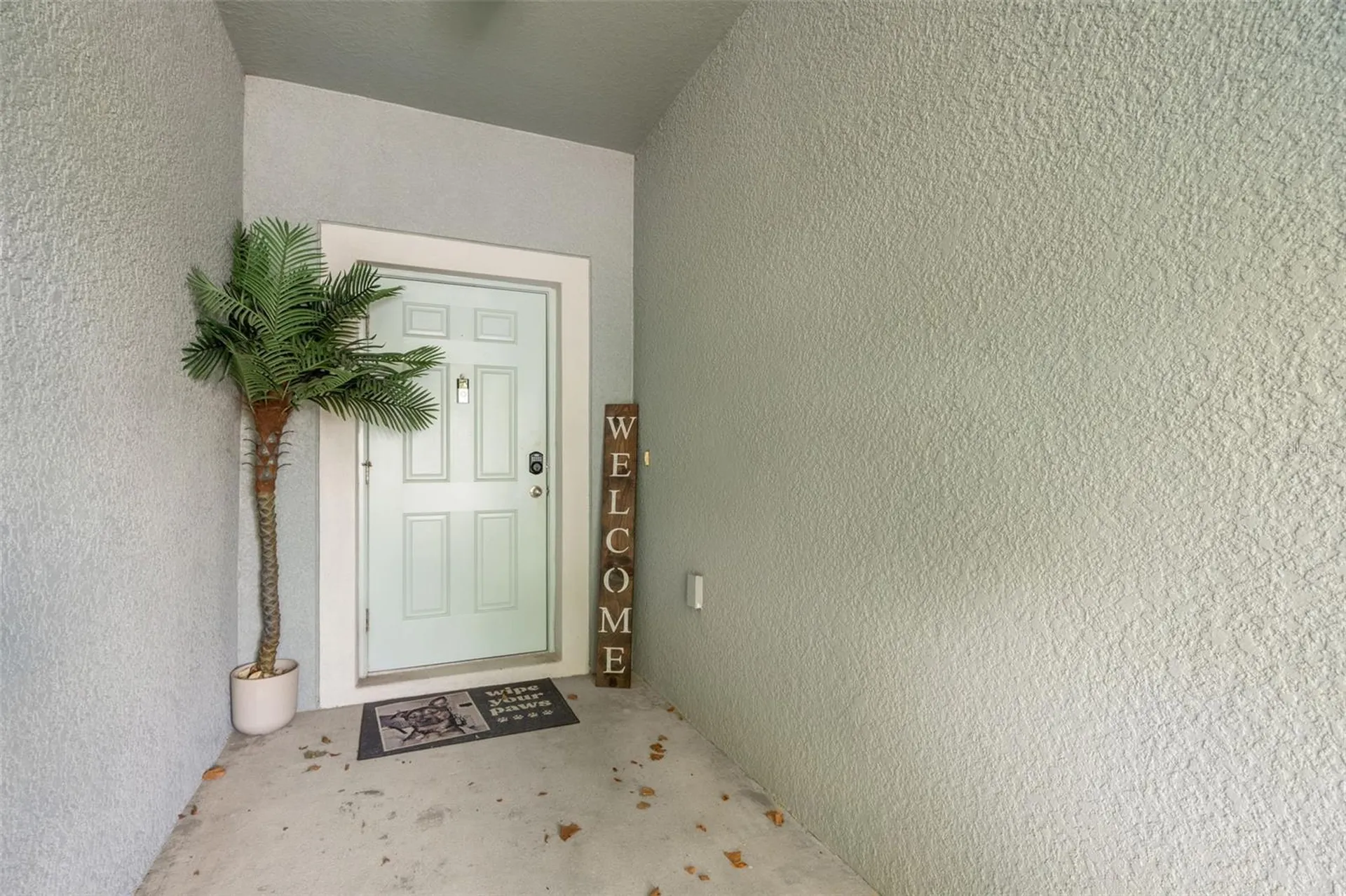 7627 French Marigold Avenue Tampa FL 33619