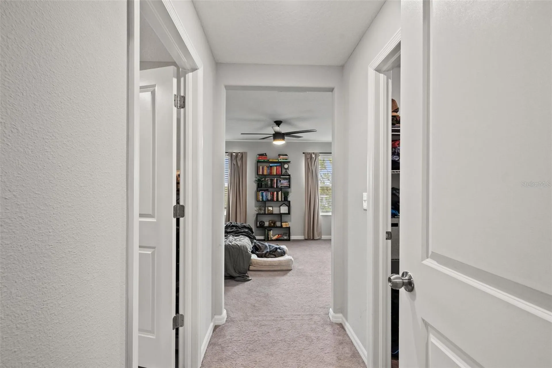 7627 French Marigold Avenue Tampa FL 33619